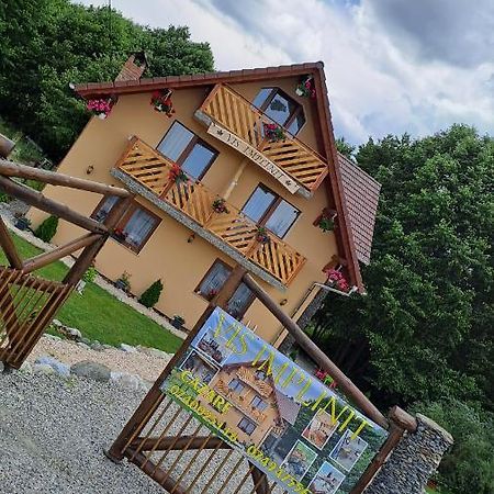 Hotel Vis Implinit Cîrţişoara Exterior foto