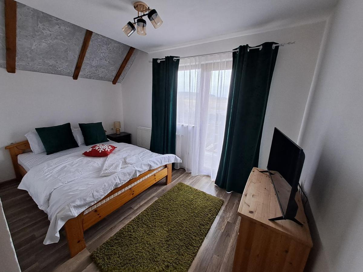 Hotel Vis Implinit Cîrţişoara Exterior foto