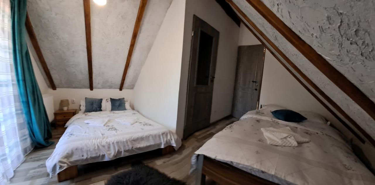 Hotel Vis Implinit Cîrţişoara Exterior foto