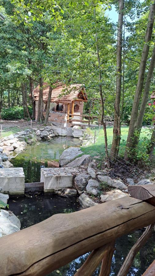 Hotel Vis Implinit Cîrţişoara Exterior foto
