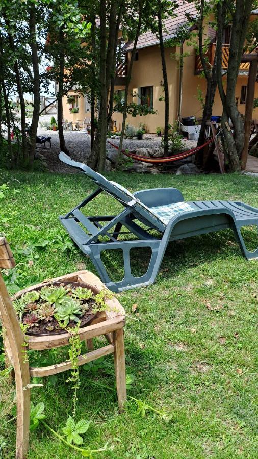 Hotel Vis Implinit Cîrţişoara Exterior foto