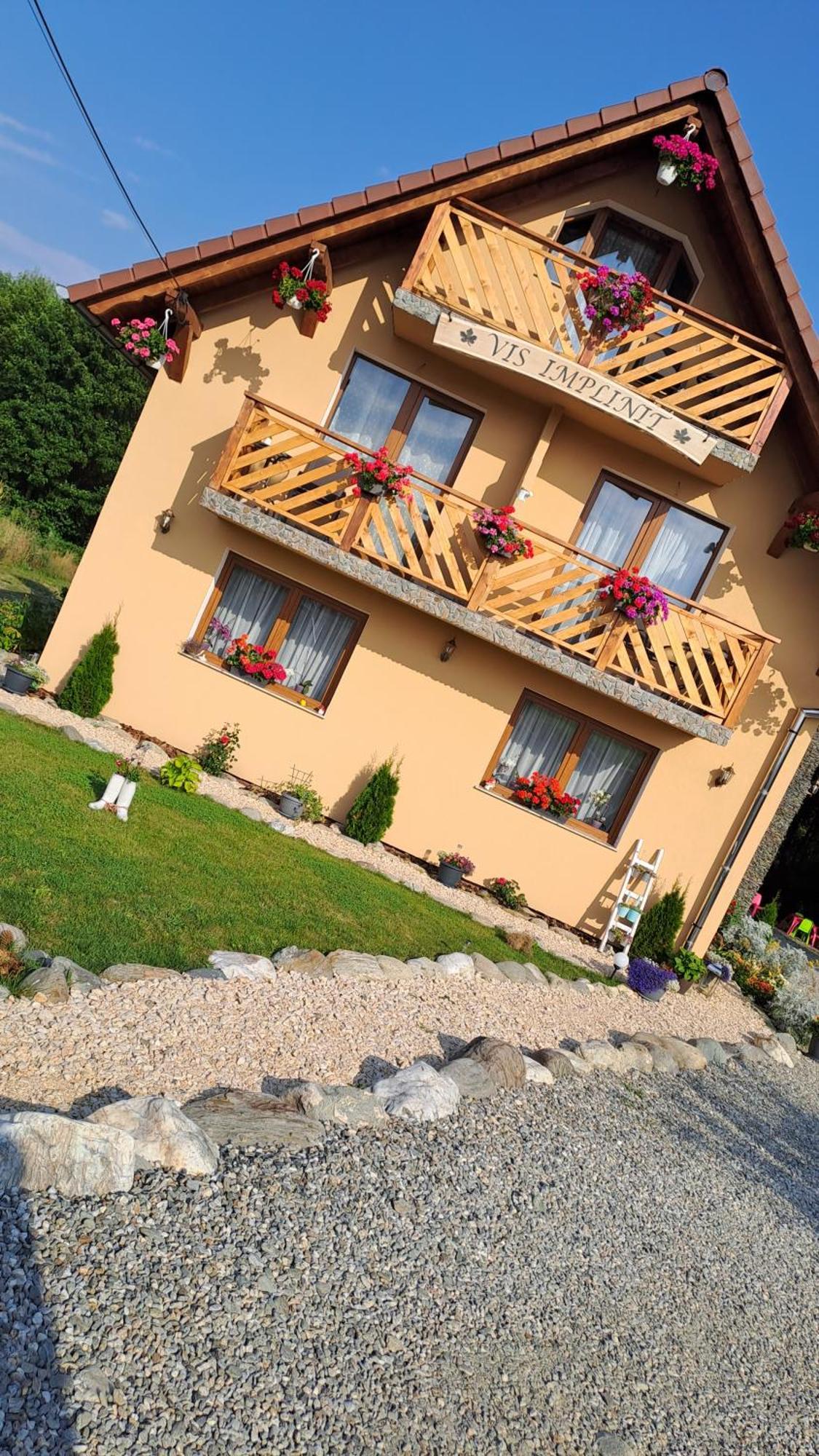 Hotel Vis Implinit Cîrţişoara Exterior foto